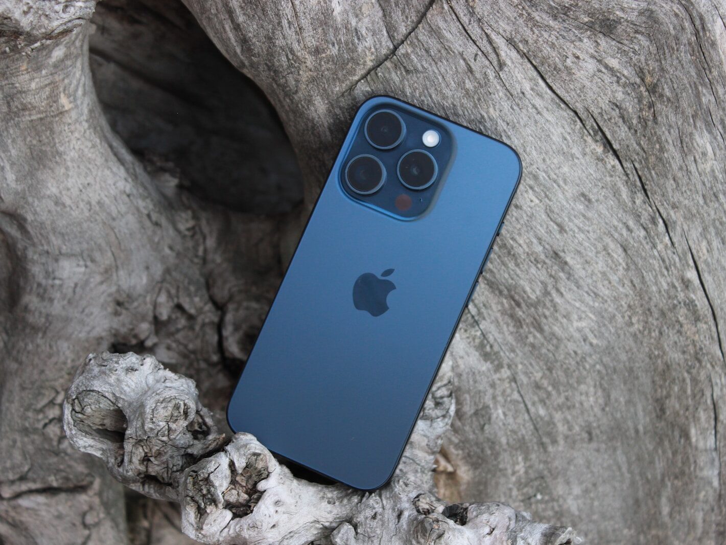a blue iphone sitting on top of a tree