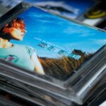 black and brown cd case